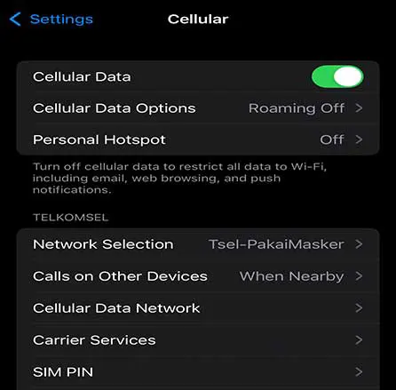 Cara Mengatasi iPhone Gagal Update IOS
