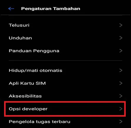 Cara Mengaktifkan Opsi Pengembang HP Android
