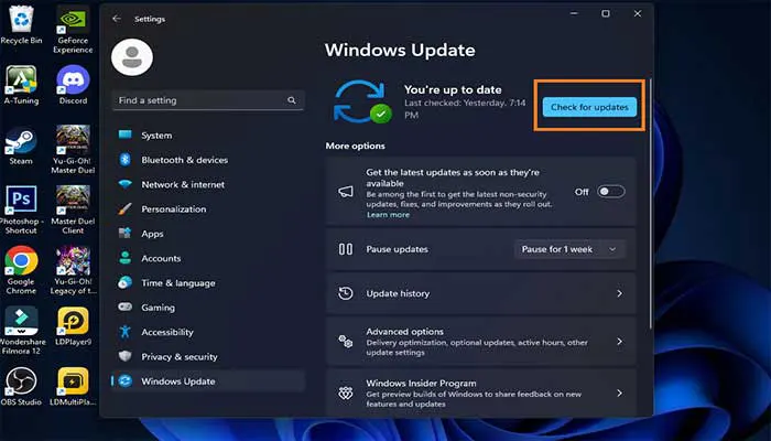 Laptop Tidak Bisa Konek ke Proyektor